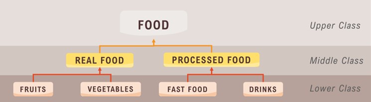 Concept of Object Oriented Programming